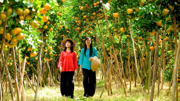 Nông nghiệp, du lịch và văn hóa phải trở thành một thực thể