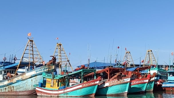 Removing the ‘IUU yellow card’ by synchronizing fishing vessels’ data and controlling seafood exploitation output