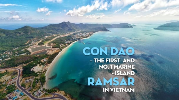 Con Dao - The first and No. 1 marine - island Ramsar in Vietnam