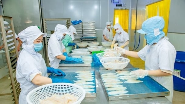Considerations for businesses exporting seafood to Singapore