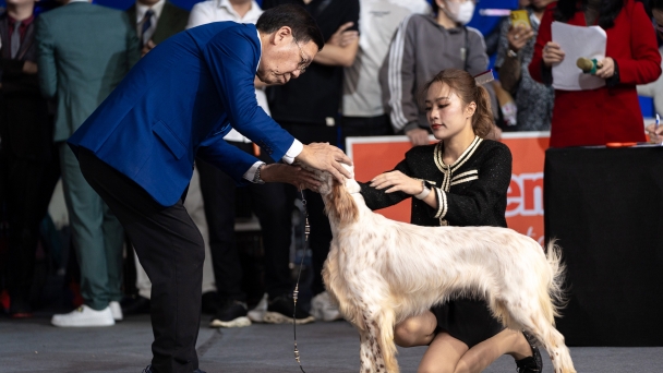 Hàng trăm thú cưng đọ tài sắc tại Vietnam Pet Festival 2024