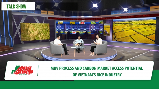 MRV process and carbon market access potential of Vietnam’s rice industry