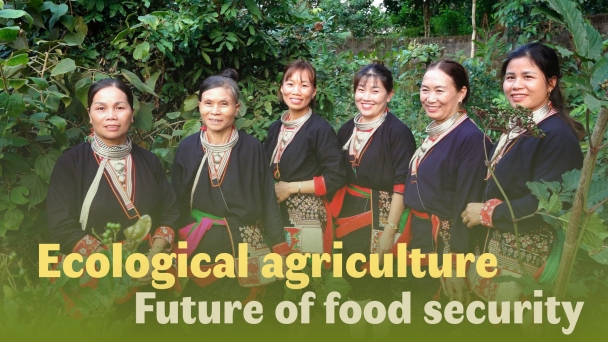 Ecological agriculture - Future of food security