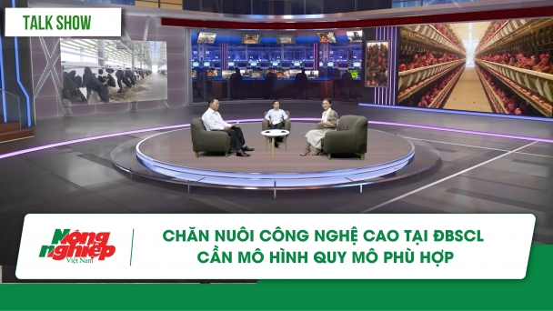 Chăn nuôi công nghệ cao tại ĐBSCL cần mô hình quy mô phù hợp