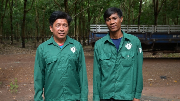 Cambodian managers in the Vietnamese rubber company