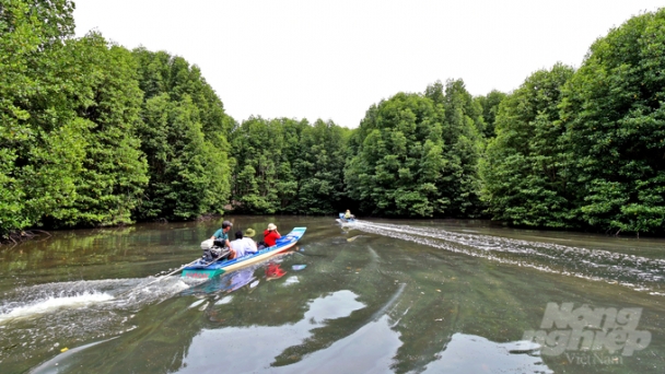 Promoting the strengths of Ca Mau's mangrove forests