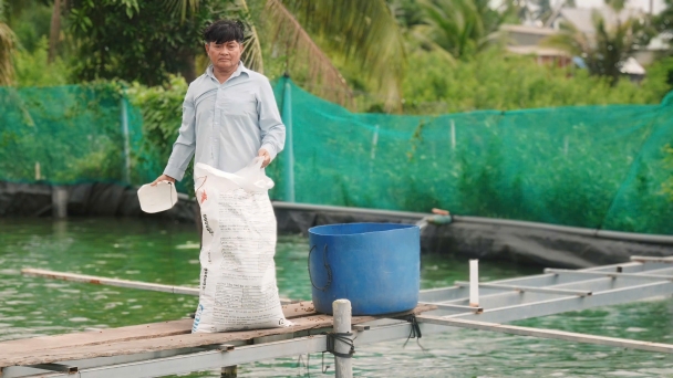 Lão nông hướng dẫn phòng bệnh và nuôi ba ba luôn khỏe mạnh