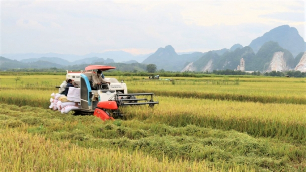 Achieving net-zero emissions in the agri-food system