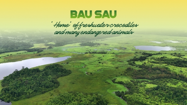 Bau Sau - ‘Home’ of freshwater crocodiles and many endangered animals