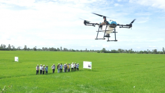 Rice areas with international standard alternate wetting and drying technique prioritized for carbon credit payments