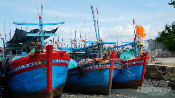 Ba Ria - Vung Tau: Preventing departures of 'three-no' fishing vessels