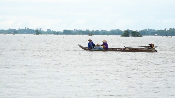 Miền Tây mở cống, xả lũ để đón phù sa vào đồng ruộng