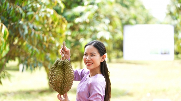 What factors contributing to the preference of Vietnamese fruits among Chinese consumers?