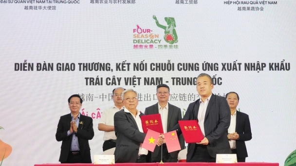 Collaboration to expand the market for Vietnamese fruits in Northern China