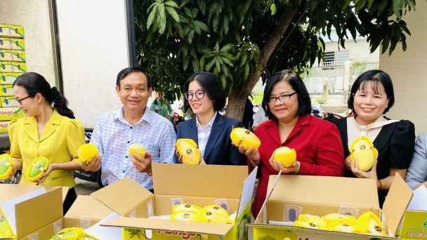 Linking for An Giang fruits to reach many markets