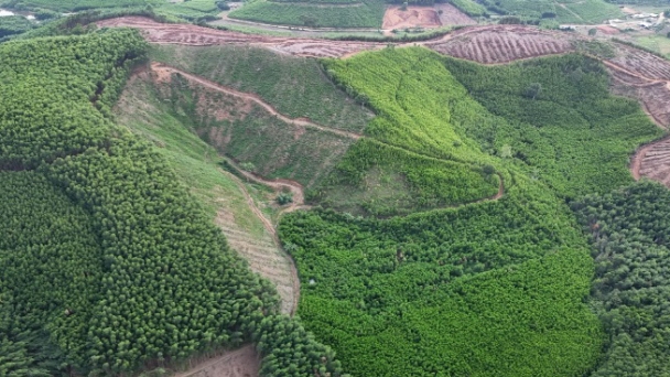 Dak Lak Province houses nearly 4,000 hectares of certified sustainable forest area