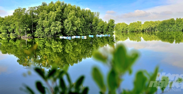 Creating livelihoods and encouraging aquaculture farmers to protect mangrove forests