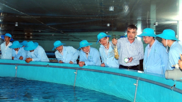 40 years of RIA3: Breakthrough aquaculture technologies