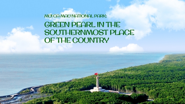 Mui Ca Mau National Park: Green pearl in the southernmost place of the country