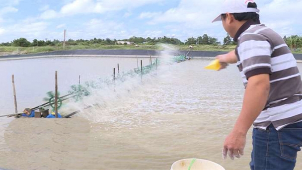 Solutions for managing water environment in aquaculture after natural disasters