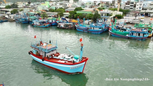 Xử lý nghiêm khắc, đúng người, đúng tội trong vi phạm về IUU