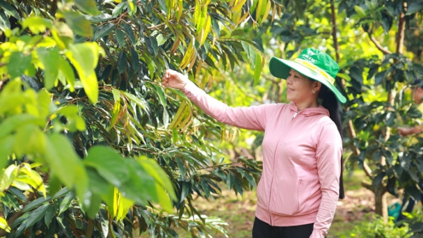 Farmers enjoy a bountiful harvest by utilizing agricultural techniques on digital platforms