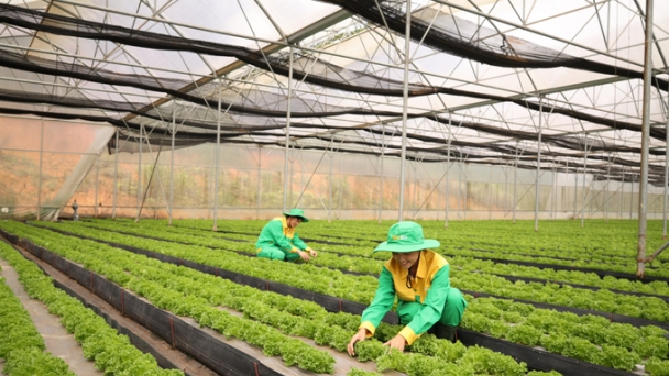 Clean agriculture: A sustainable development trend for Vietnamese agriculture