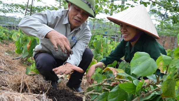 A 60-hectare organic farm that meets the standards of the USA, EU and Japan