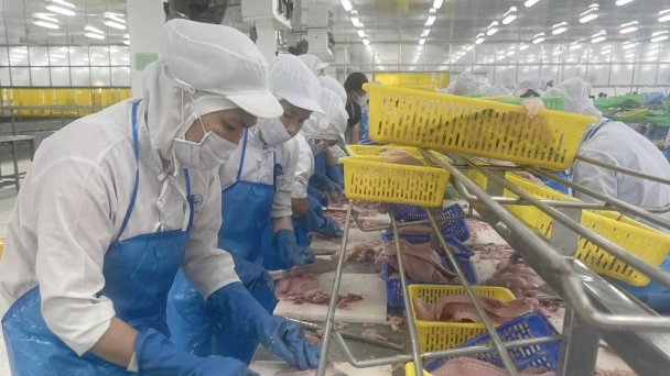 Vietnam leads in exporting fish filets and processed fish to Singapore