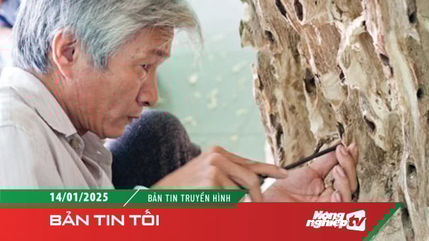 Cận Tết, làng nghề ‘xoi trầm’ hoạt động hết công suất