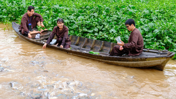 Hàng chục tấn cá tra về trú dưới bến sông Trà Ôn