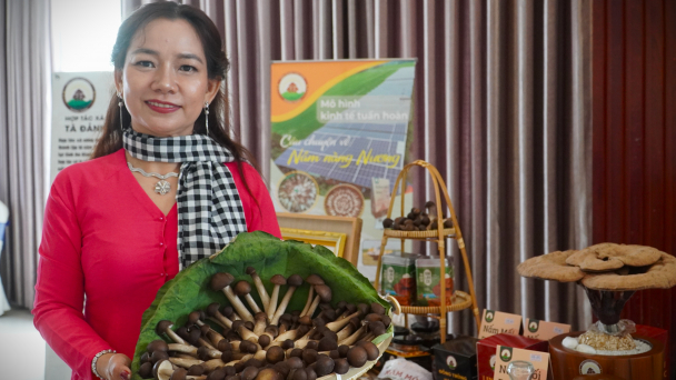 Cultivating medicinal mushrooms under solar panels: An economic and environmental solution