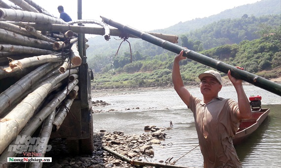 Xứ Thanh có 8 vạn hecta luồng: [Bài 2] Năng suất và giá trị chưa đạt kỳ vọng