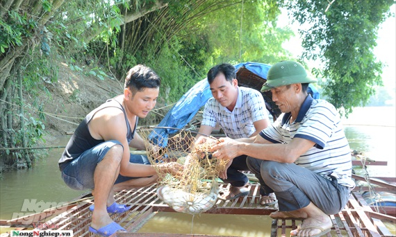 Những làng quê khấm khá từ nghề cá