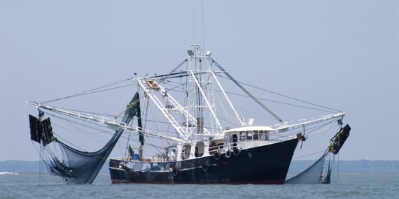 Papua New Guinea sẽ đánh chìm tàu khai thác cá trái phép