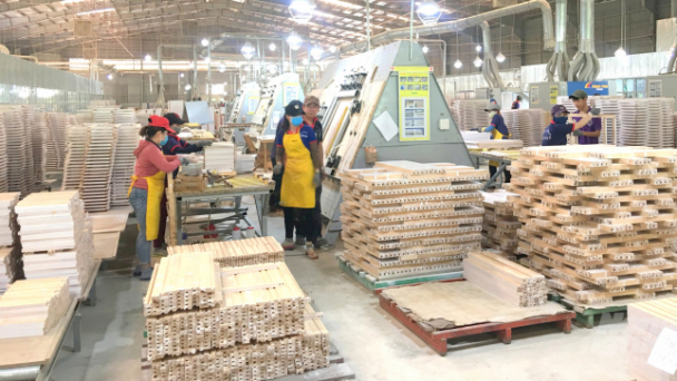 Địa phương cứng nhắc, sản xuất gỗ đình trệ