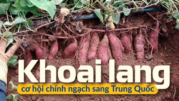 Doanh nghiệp hào hứng, sẵn sàng hỗ trợ nông dân