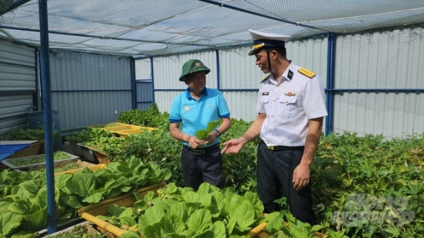 Chuyển giao nhiều giống rau, cây xanh ra Trường Sa