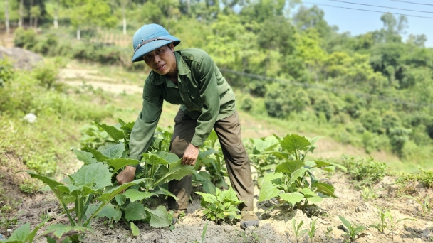 Vườn quốc gia Hoàng Liên hỗ trợ nông dân Bản Hồ thoát nghèo