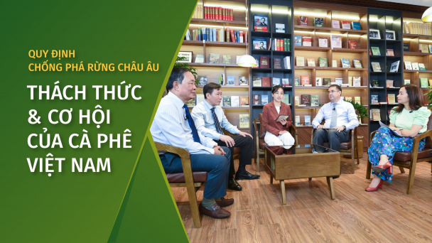 Quy định chống phá rừng châu Âu: Thách thức và cơ hội của cà phê Việt Nam