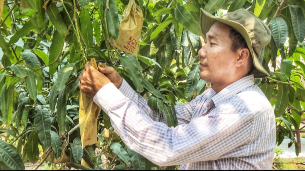Tiên phong đưa công nghệ thay đổi nếp nghĩ, cách làm trên xứ cù lao