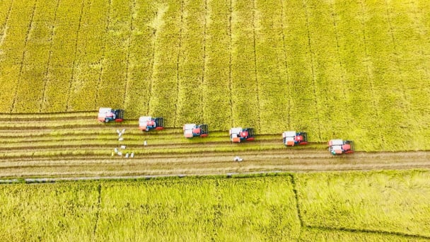 Đối tượng nào được giảm 30% tiền thuê đất năm 2023?