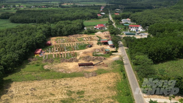 Kiểm tra, xử phạt nhiều cơ sở chế biến gỗ keo vi phạm sử dụng đất