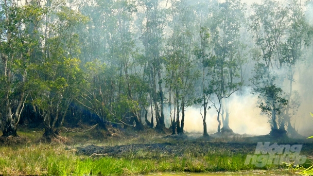 Cháy Vườn quốc gia Tràm Chim: Thiệt hại 17ha rừng tràm