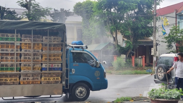 Dịch tả lợn Châu Phi quét tan hoang Bắc Kạn: Chỉ đạo tiêm vacxin đồng loạt