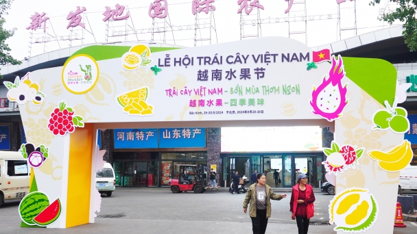 First-ever Vietnamese fruit festival held in China