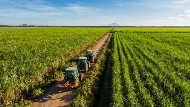 Chairman of TTC AgriS: Tay Ninh will be the headquarters of the international agricultural center