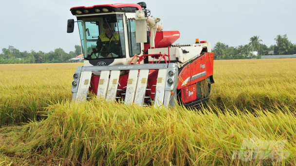 Can Tho city aims to have 48.000ha dedicated to high-quality, low-emission rice cultivation