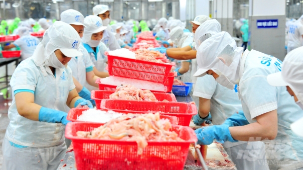 Aiming for catfish export turnover of about 2 billion USD