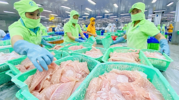 China remains the target export market of Vietnam’s seafood